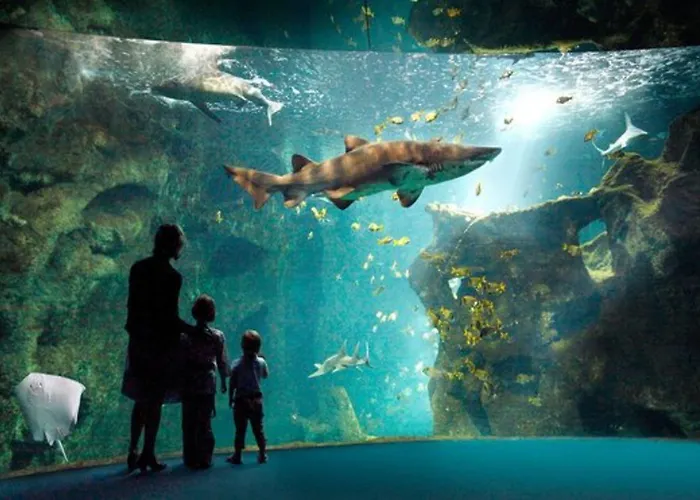 Le Rivage Vue Sur - Logis - Châtelaillon-plage Hotel Châtelaillon-Plage